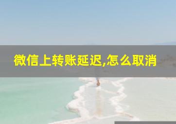 微信上转账延迟,怎么取消