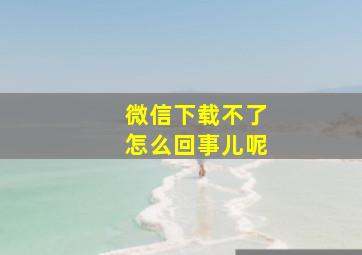 微信下载不了怎么回事儿呢