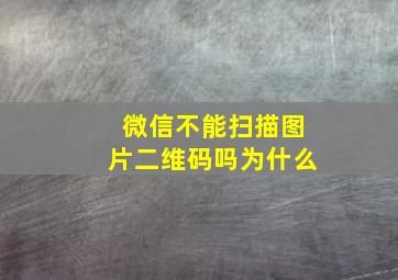 微信不能扫描图片二维码吗为什么