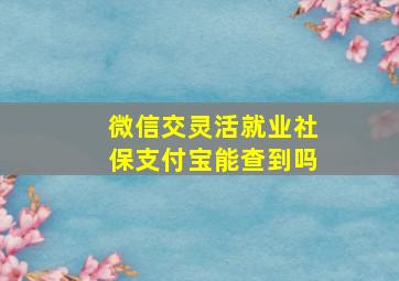 微信交灵活就业社保支付宝能查到吗