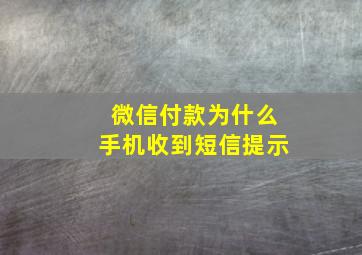 微信付款为什么手机收到短信提示