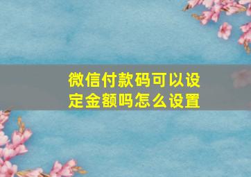 微信付款码可以设定金额吗怎么设置