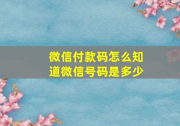 微信付款码怎么知道微信号码是多少