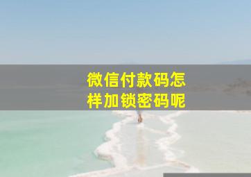 微信付款码怎样加锁密码呢