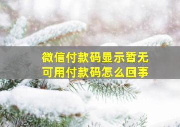 微信付款码显示暂无可用付款码怎么回事