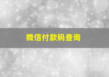 微信付款码查询