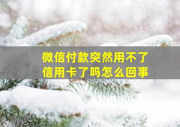 微信付款突然用不了信用卡了吗怎么回事