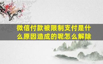 微信付款被限制支付是什么原因造成的呢怎么解除