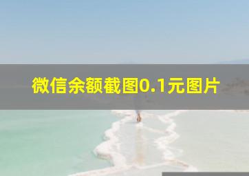 微信余额截图0.1元图片