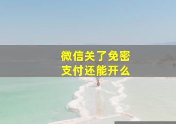 微信关了免密支付还能开么