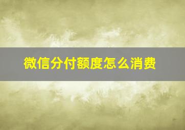 微信分付额度怎么消费