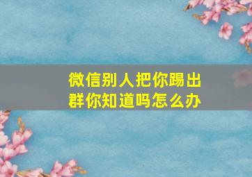 微信别人把你踢出群你知道吗怎么办