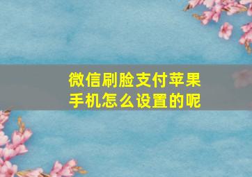 微信刷脸支付苹果手机怎么设置的呢