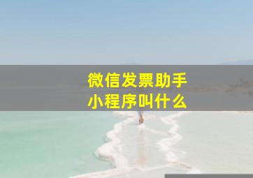 微信发票助手小程序叫什么