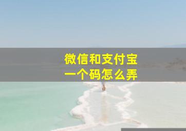 微信和支付宝一个码怎么弄