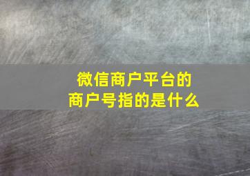 微信商户平台的商户号指的是什么