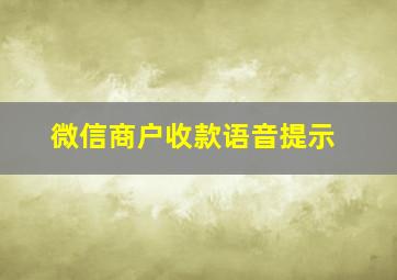 微信商户收款语音提示