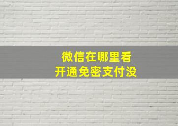 微信在哪里看开通免密支付没