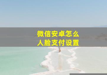 微信安卓怎么人脸支付设置