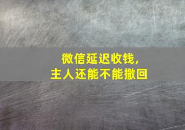 微信延迟收钱,主人还能不能撤回