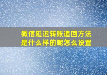 微信延迟转账追回方法是什么样的呢怎么设置