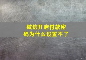 微信开启付款密码为什么设置不了