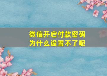 微信开启付款密码为什么设置不了呢