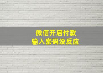 微信开启付款输入密码没反应