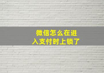 微信怎么在进入支付时上锁了