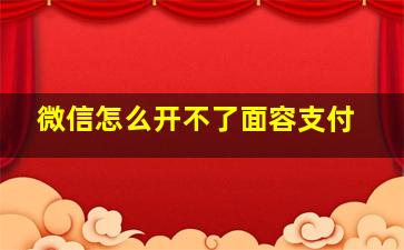 微信怎么开不了面容支付