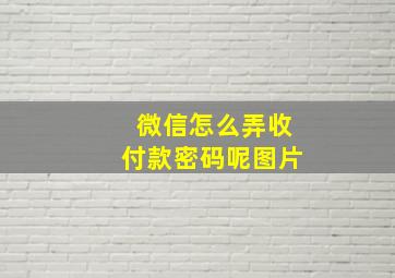 微信怎么弄收付款密码呢图片