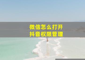 微信怎么打开抖音权限管理