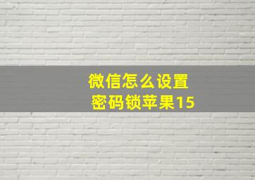 微信怎么设置密码锁苹果15