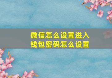 微信怎么设置进入钱包密码怎么设置