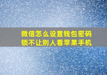 微信怎么设置钱包密码锁不让别人看苹果手机