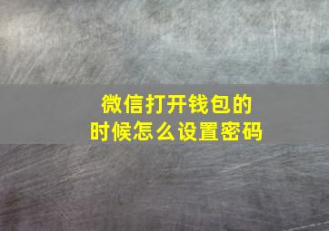 微信打开钱包的时候怎么设置密码