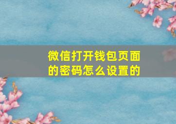 微信打开钱包页面的密码怎么设置的