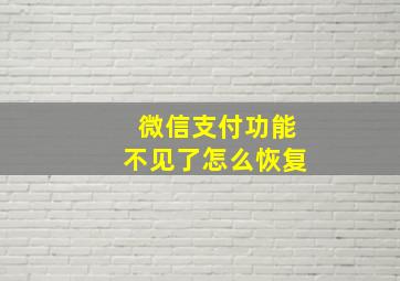 微信支付功能不见了怎么恢复