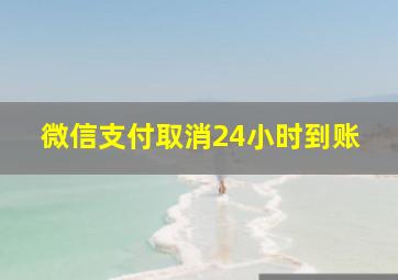 微信支付取消24小时到账