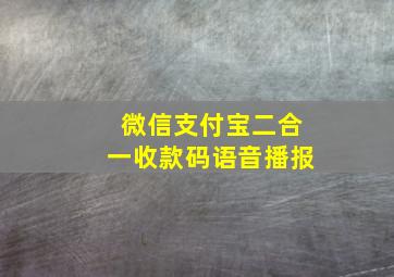 微信支付宝二合一收款码语音播报