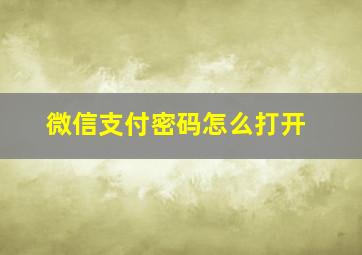 微信支付密码怎么打开