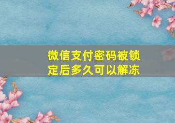 微信支付密码被锁定后多久可以解冻