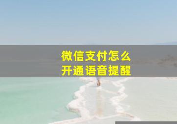 微信支付怎么开通语音提醒