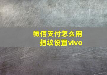 微信支付怎么用指纹设置vivo