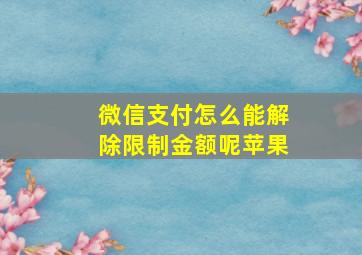 微信支付怎么能解除限制金额呢苹果