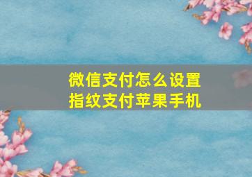 微信支付怎么设置指纹支付苹果手机