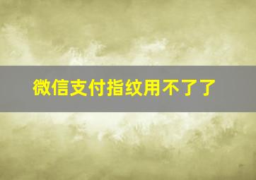 微信支付指纹用不了了