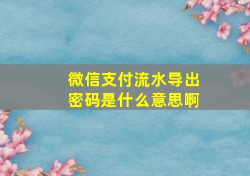 微信支付流水导出密码是什么意思啊