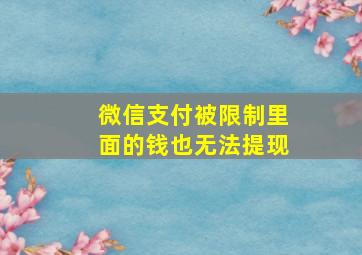 微信支付被限制里面的钱也无法提现