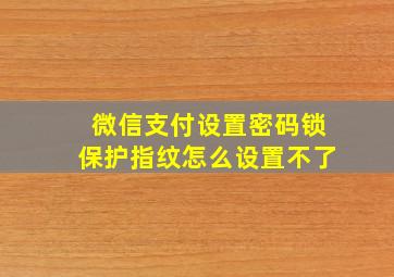 微信支付设置密码锁保护指纹怎么设置不了